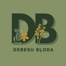 Debesu Bļoda