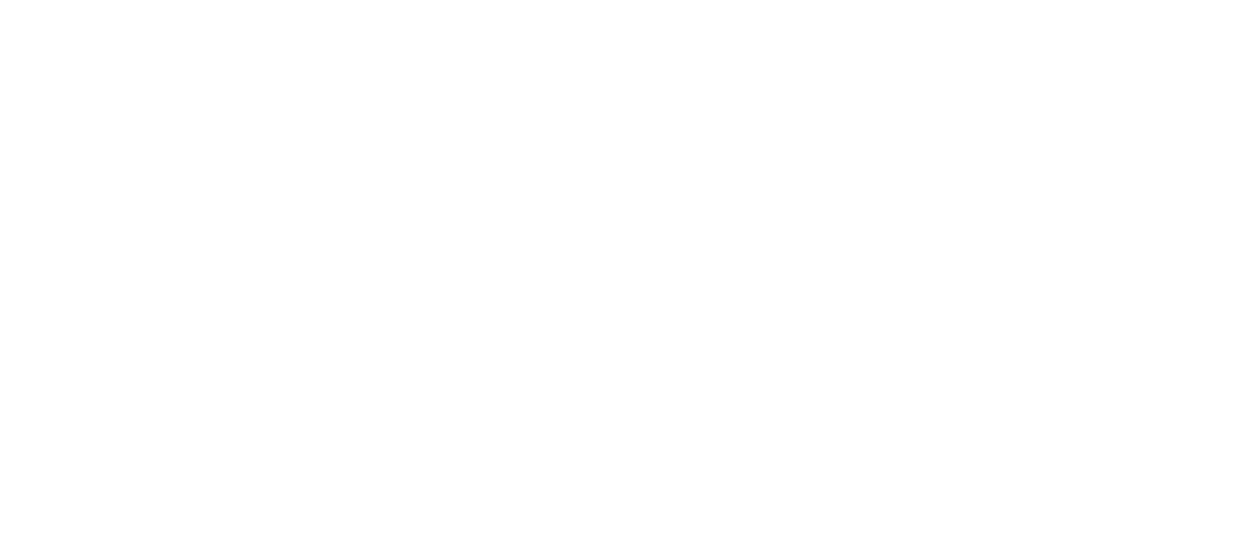 Rīgas Viļņi izdevniecība